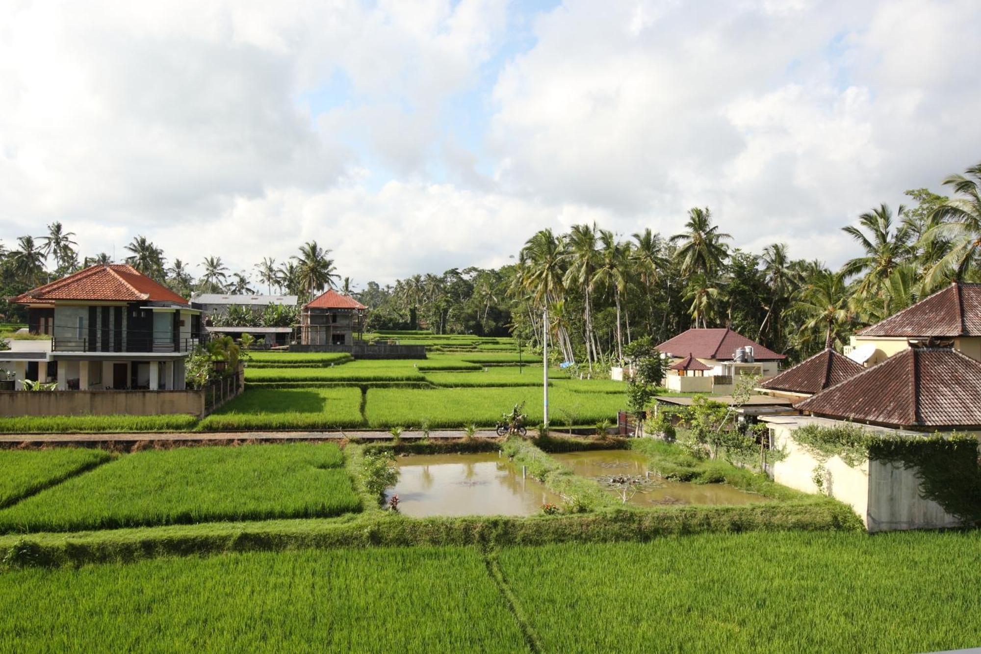 Swarapadi Villa Ubud Exteriör bild
