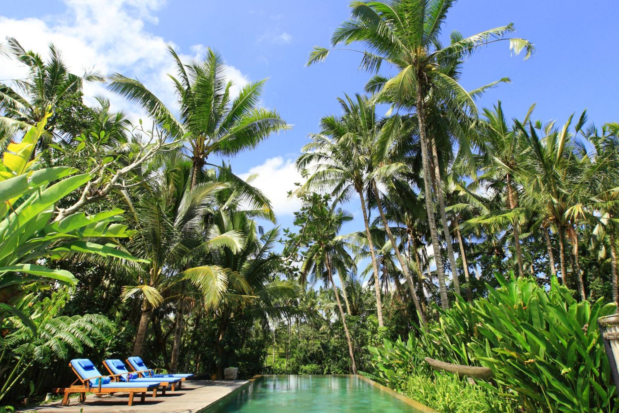 Swarapadi Villa Ubud Exteriör bild