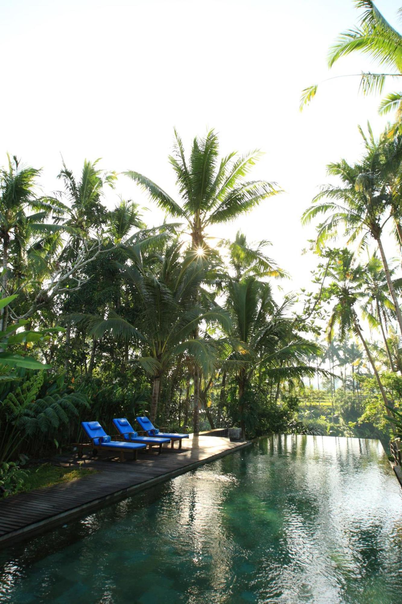 Swarapadi Villa Ubud Exteriör bild